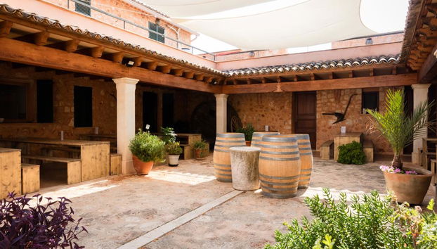 Visit Bodegas Angel with Wine Tasting - Photo 5