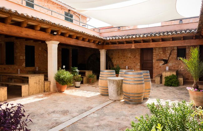 Visitar Bodegas Angel com Degustação de Vinhos - Foto 5