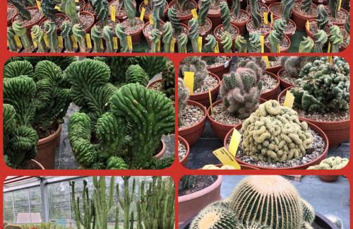 Willkommen in unserem kleinen Paradies - Foto 41