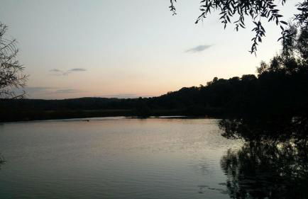 Apartment Fewo Central - Foto 13