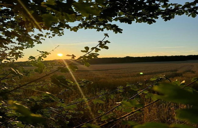 Completely Renovated House near Durbuy - Foto 43