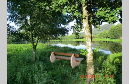 KOTA Finlandais bien être , les gîtes de l'étang - Foto 45