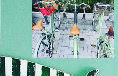 Lupicante 56 Cesenatico - Foto 10