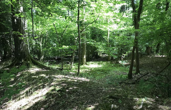 Private and Secluded Cabin in Rowfant - Foto 23