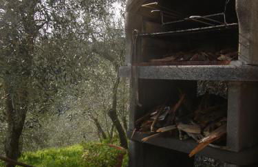 Agriturismo OlivArancio - Foto 59