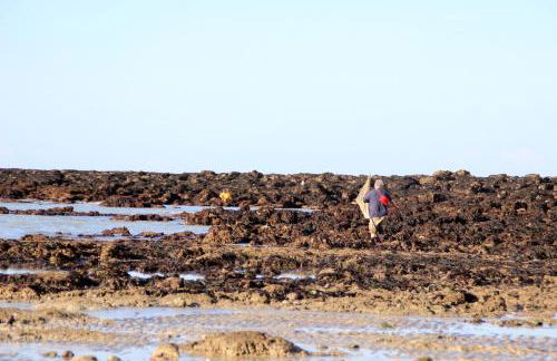 Villa Mathilde - Foto 33