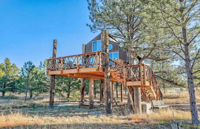 Tree Deer Blind - Foto 24