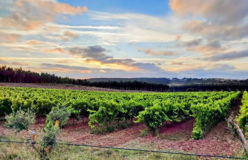 Historic Vineyard Retreat - 1785 Country Cottage in Peral - Foto 105