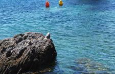 Mary's House 1 - Foto 44