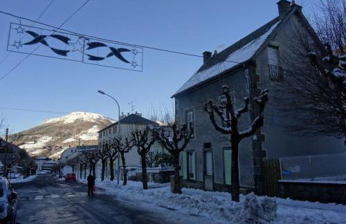 Le Sancy, appart T2, 4 pers, centre ville du Mont Dore - Photo 13