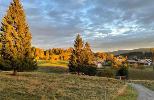 Große gemütliche Ferienwohnung in Schwarzwaldhof - Foto 22