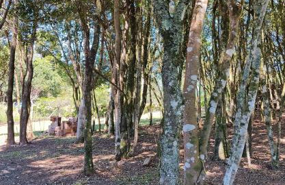 WoodHouse - Casa de campo - 15 min de Canela - Foto 15