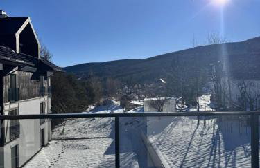 Vista Izera - Foto 39