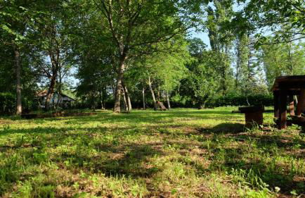 Polani - Il Noceto - Foto 18