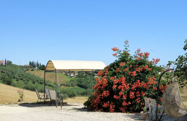 Intensivo-Elegante - Foto 20