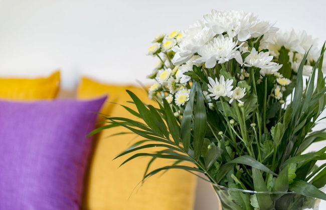 Ethrion plus Home experience - Foto 17