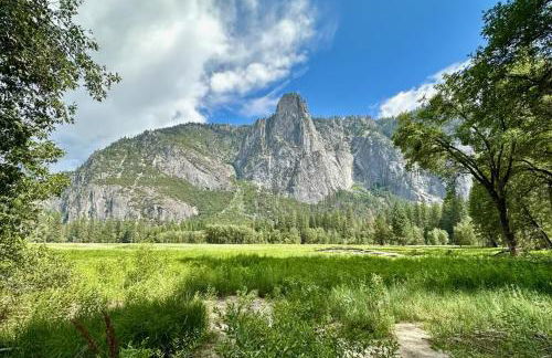 Tiny one house at Yosemite Gateway - Foto 15