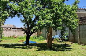 Flor da Primavera - Foto 2