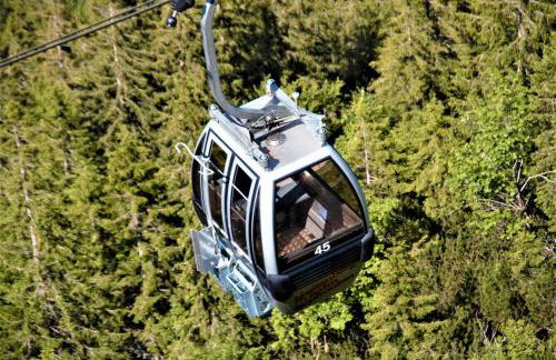 Ferienwohnungen Wolf - zentral in Pfronten mit Panorama-Alpenblick und ruhiger Lage - Foto 46