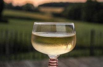 Ferienhaus Rote Sau - Foto 17