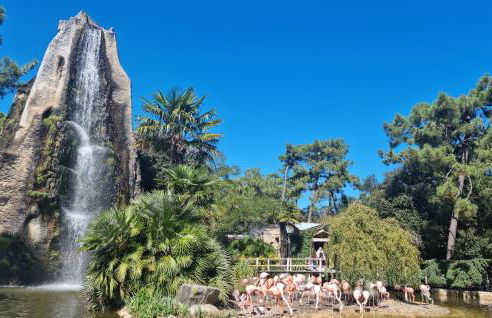 Cozy Home In Dolus-D'oléron With Wifi - Foto 31