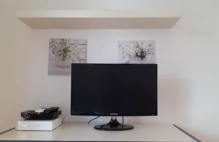 Apartment Palais de Coppet - Foto 25