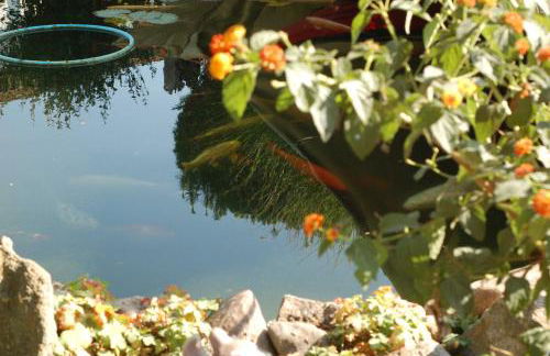 Urlaub "Unterm Storchennest" im Ostseeland Rerik - Foto 15