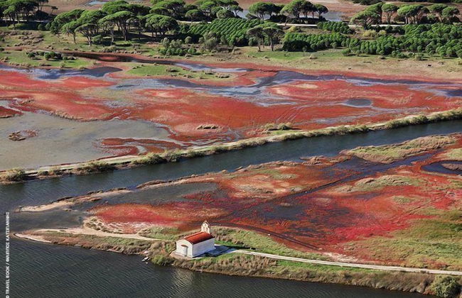 Kalogria Beach Apartments - Foto 25