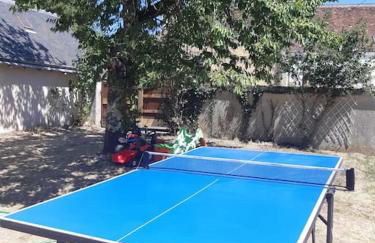 maison village 3 chambres 30 minutes du zoo de beauval - Foto 14