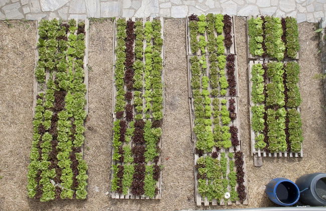 Moli del Caso - Photo 17