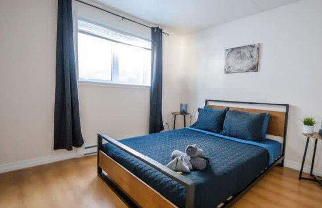 Sommet- Pet Friendly- Spa- SKI IN SKI OUT St-c me - Foto 13