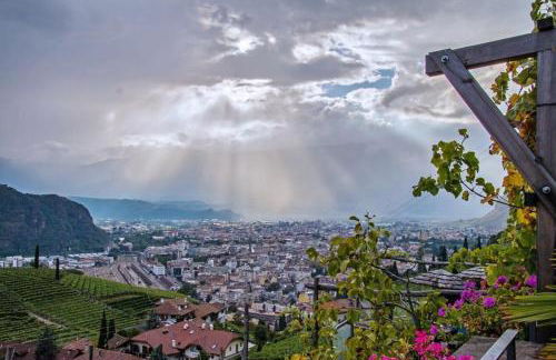 Steidlerhof - Foto 2