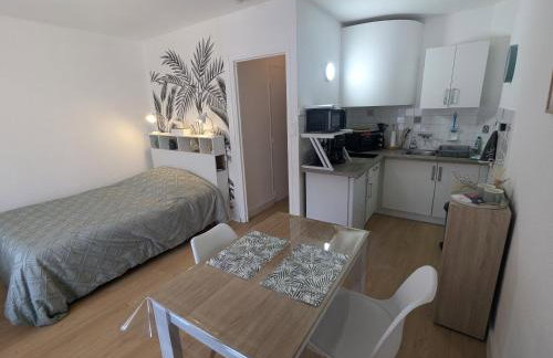 Studio Rue Castellane pour Cure ou Tourisme Vert à 2 min des Thermes - Foto 3