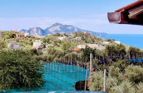 La Lobra Dépendance - Foto 40