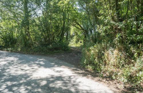 The Old Cottage Aberporth - Photo 12
