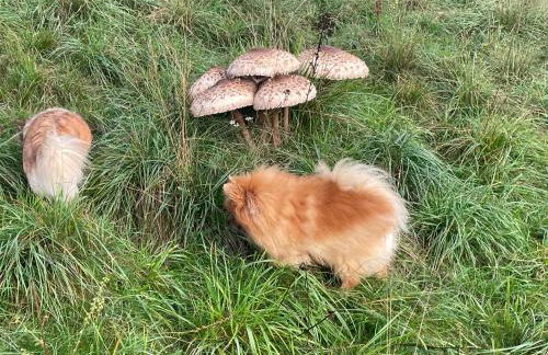 Ferienwohnung Aussicht, Monheimer Alb, Altmühltal - Foto 38