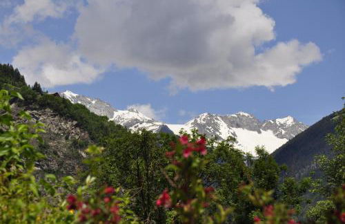 Chalet Schwarzenstein - Photo 26