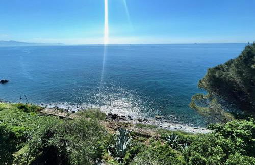 LIle dAzur - Foto 45