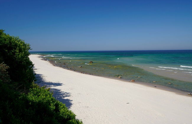 Reetland am Meer - Photo 47