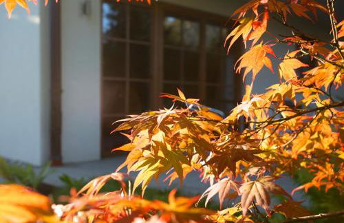 Hubertus Apartments - Foto 16