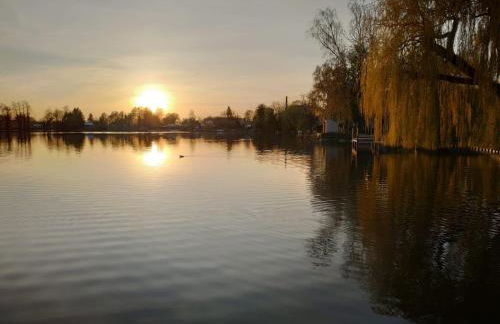 Bungalow in Werder am Glindower See - Photo 8