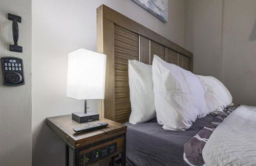 Cozy Room in the City of Worcester - Foto 6