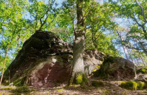 Gemütliches Bauernhaus am Nationalpark Eifel - Foto 18