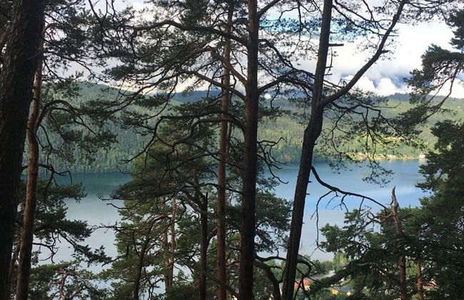 Bungalow House Lammersdorf - Photo 24