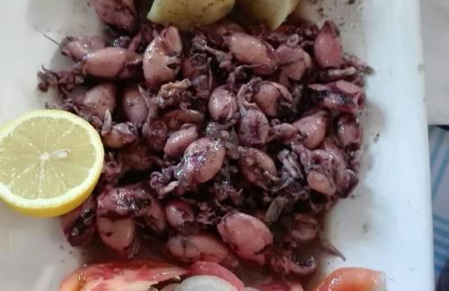 Paisagem do Guadiana Turismo Rural - Foto 63