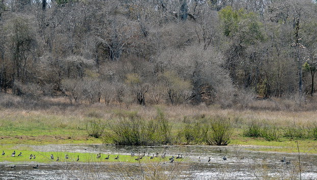 Andranomena Special Reserve - Photo 4