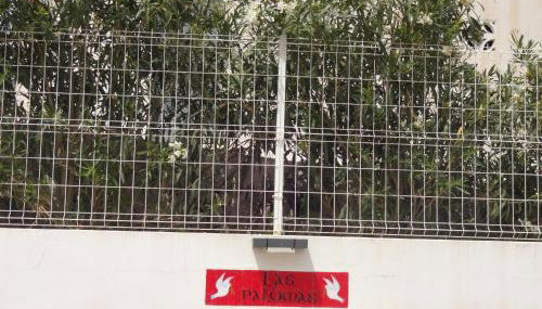 LAS PALOMAS, appartement 2 chambres avec piscine - Foto 5