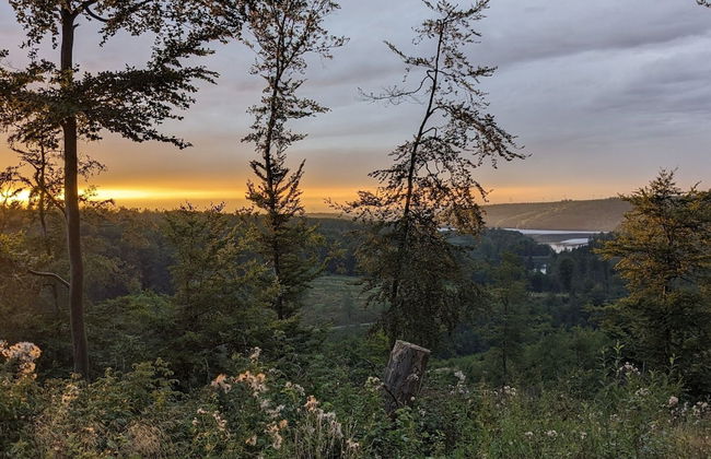 Apartment in Bad Wunnenberg Near Ski Willingen - Photo 26