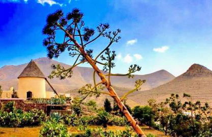 ZARATUSTRA. Rodalquilar CENTRO. GRAN terra. WIFI - Foto 19