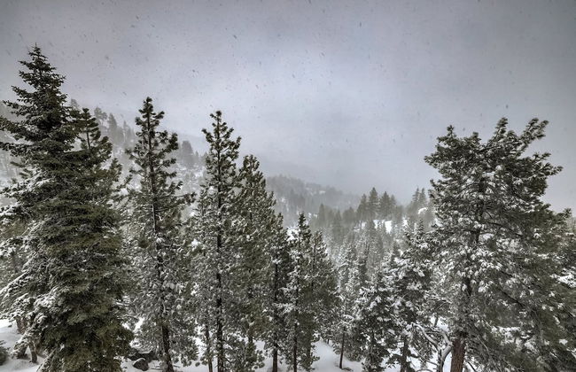 Valley View Carson Valley Views! - Foto 18